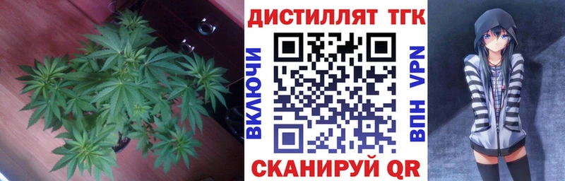 MEGA маркетплейс  Приморск  Дистиллят ТГК жижа  где купить  