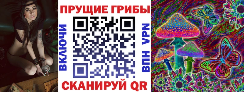 Псилоцибиновые грибы ЛСД Приморск